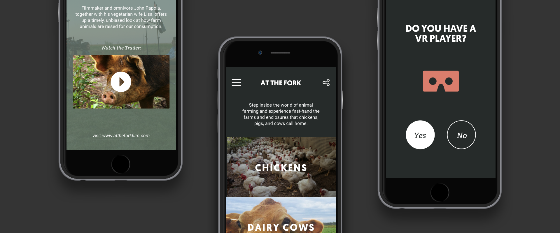 VR experience overview