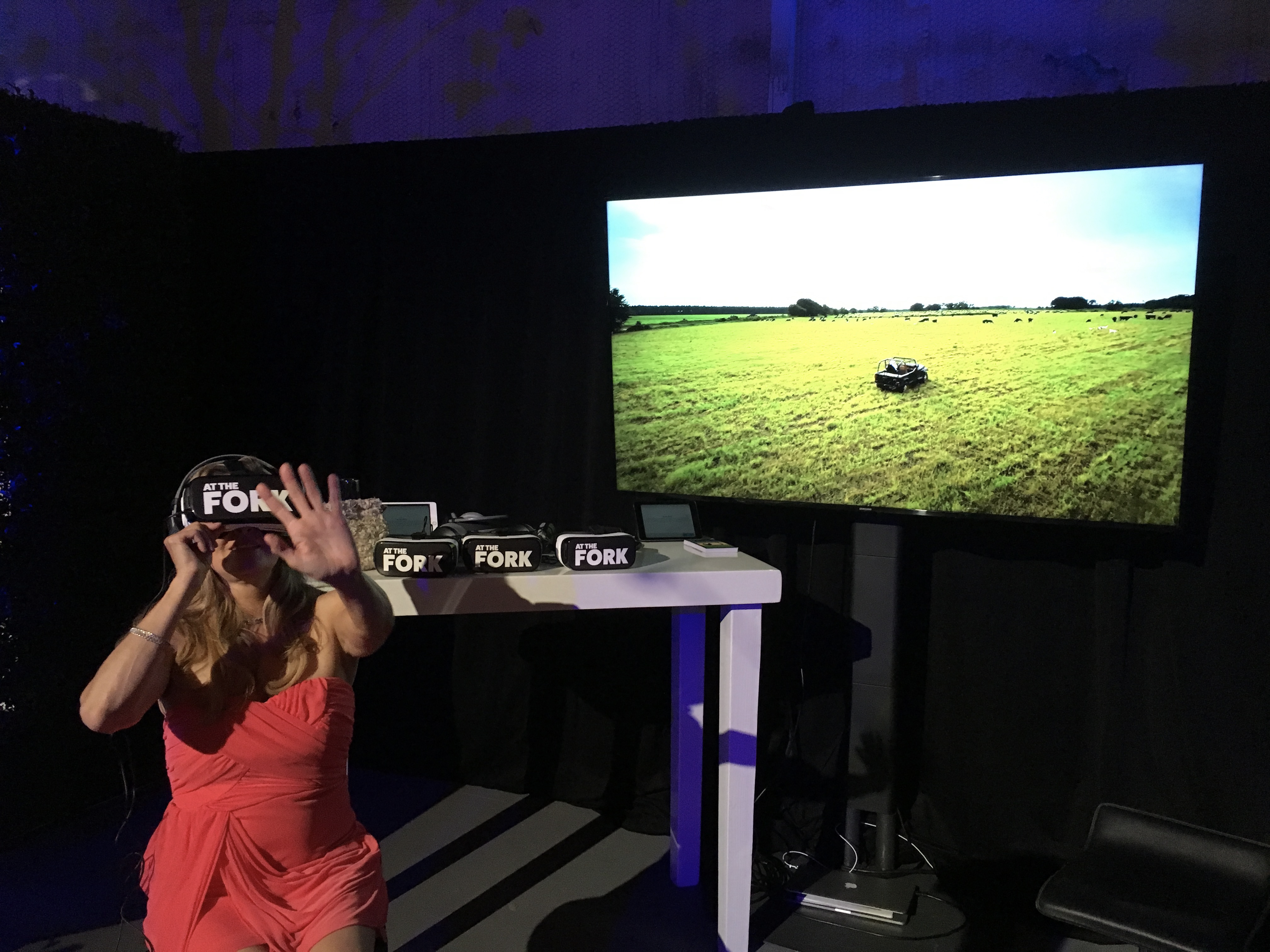 Google Cardboard distribution strategy